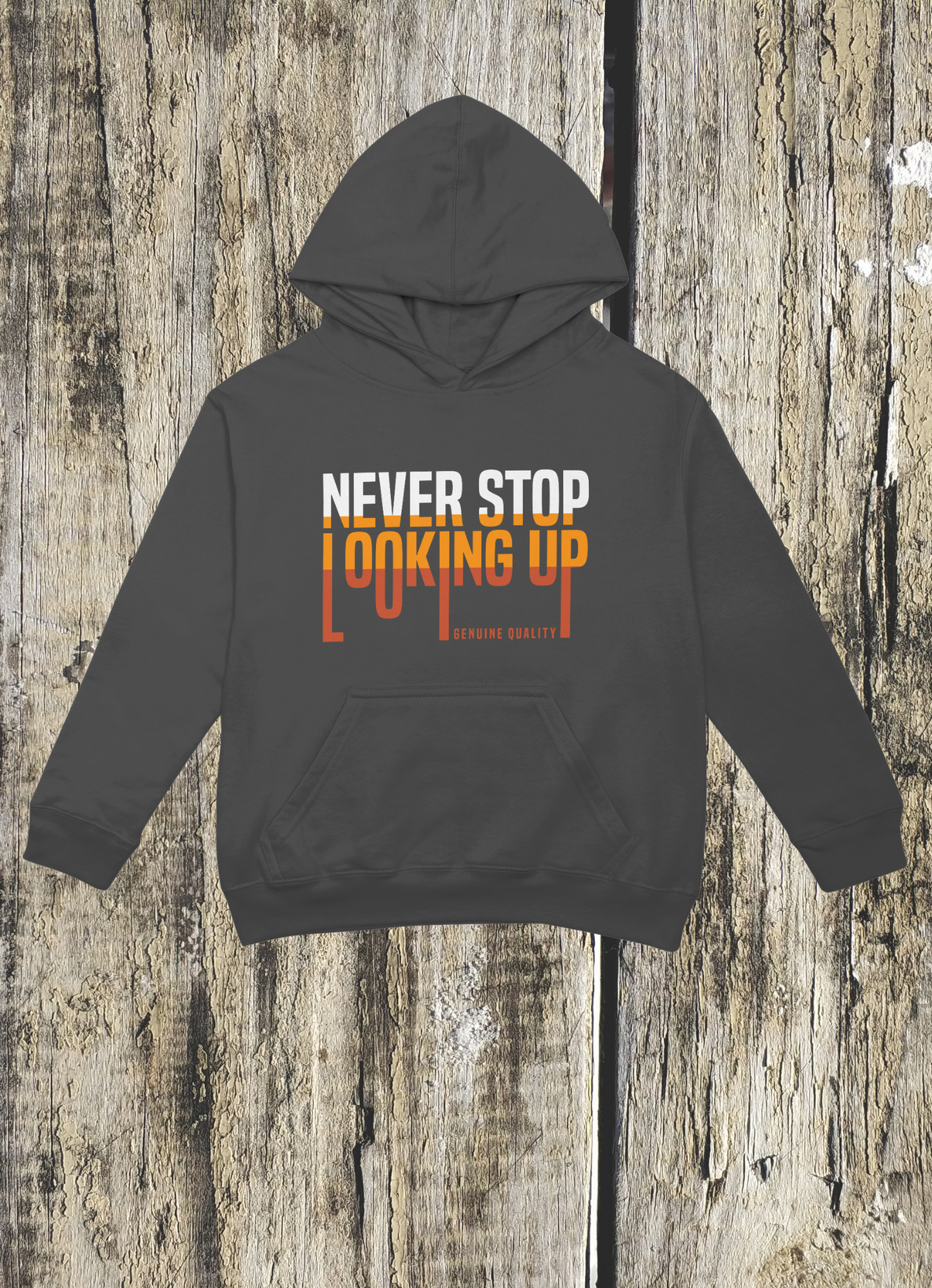 Hoodie " Never Stop Looking up"