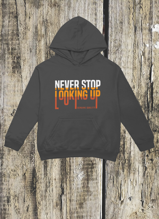 Hoodie " Never Stop Looking up"
